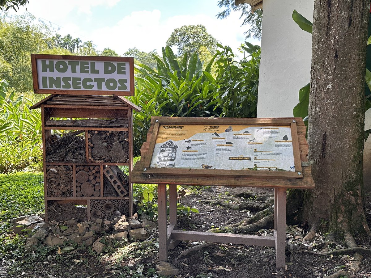 ccampocuello's tweet photo. Panaca es sinónimo de Generación, Sostenibilidad y Regeneración (GSR)……una Economía Circular que convive con el Ecosistema y que ha servido para regenerar cultura, tradiciones como la remesa, Biodiversidad nutricional…..siempre desde lo pragmático. #SinCampoNoHayCiudad https://t.co/xzmLMch2wb