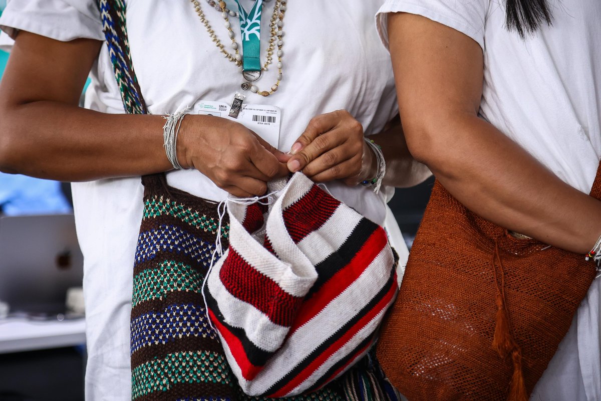 mincultura's tweet photo. ¿Cuál es la importancia de los sistemas de conocimientos tradicionales de los pueblos originarios en la protección y cuidado de la biodiversidad en el mundo? En la Zona Azul de la #COP16Colombia, en Cali, conversamos sobre los vínculos entre la diversidad biológica y cultural desde la Sierra Nevada de Gonawindúa.
 
"El reconocimiento se produce desde un lugar que debería entregar autonomía, porque son ustedes los que nos han enseñado el cuidado. Si seguimos separando la diversidad de la cultura no vamos a superar los retos que tenemos": dijo el ministro @jdcorreau en su intervención.