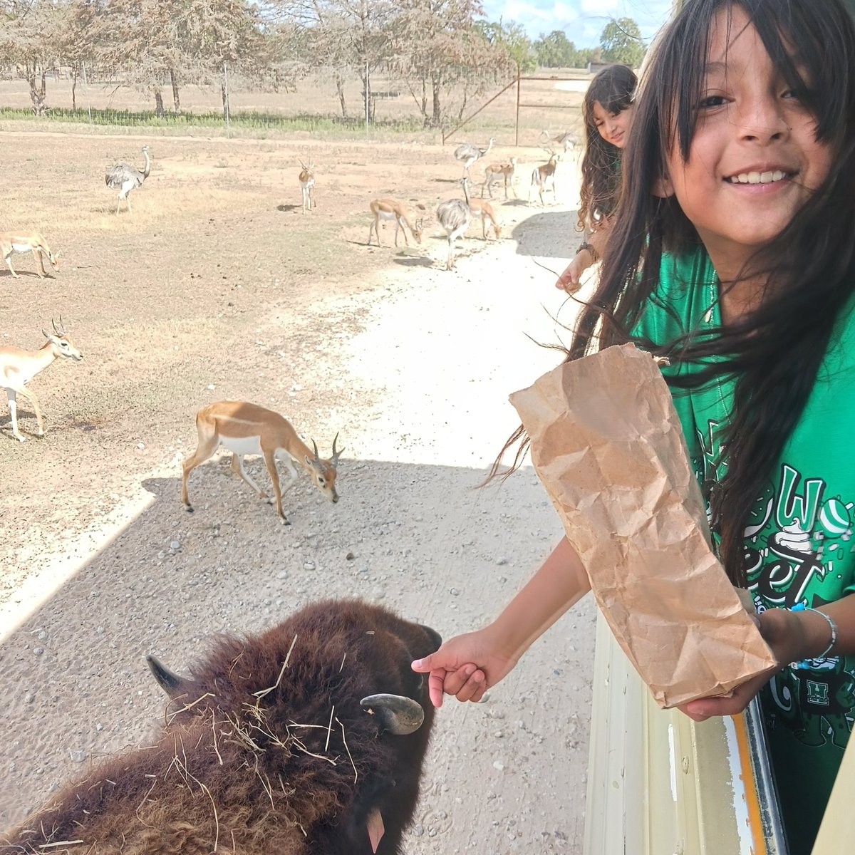 Bryan Jones tweet media