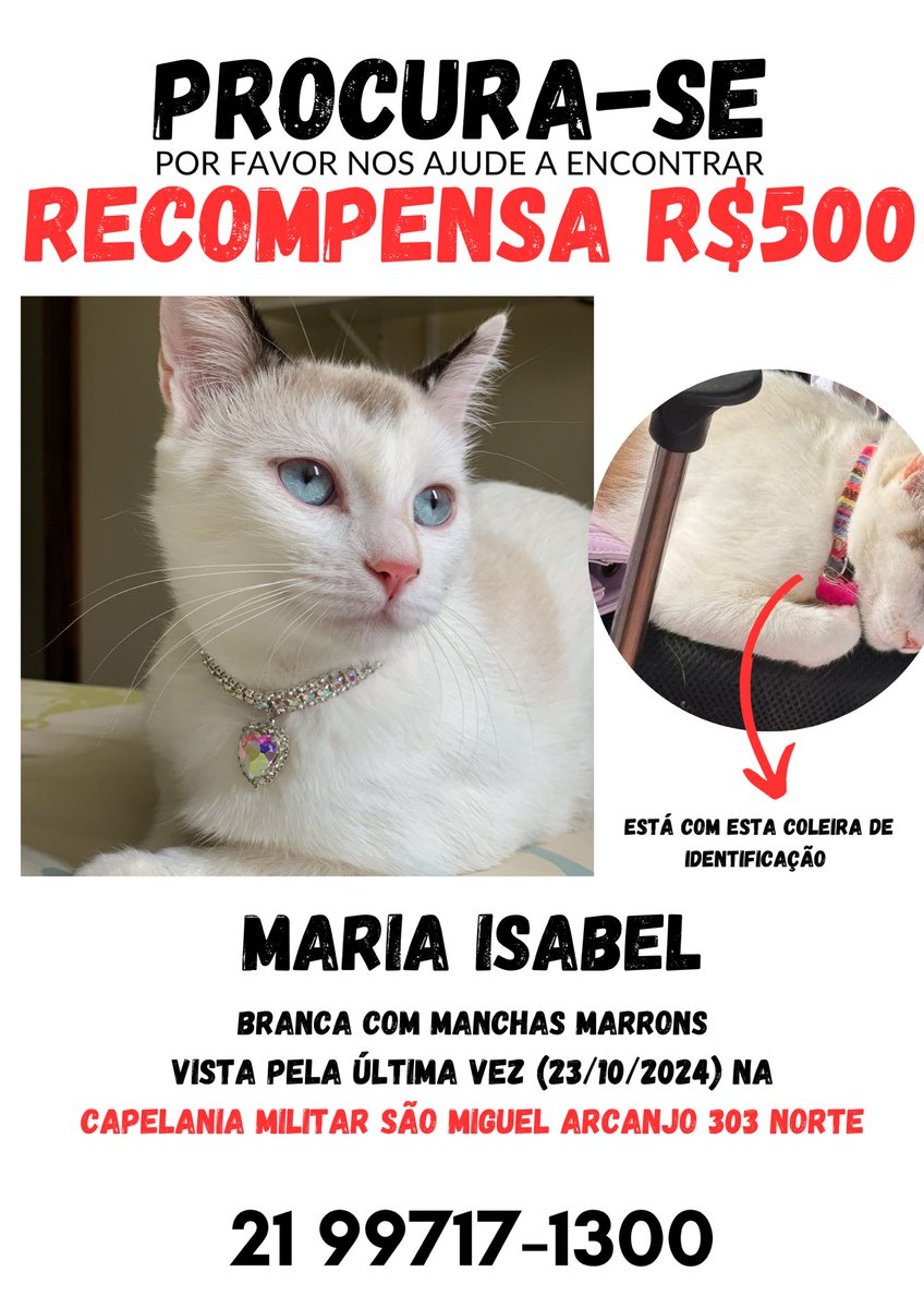 manu (@manububly) on Twitter photo 
