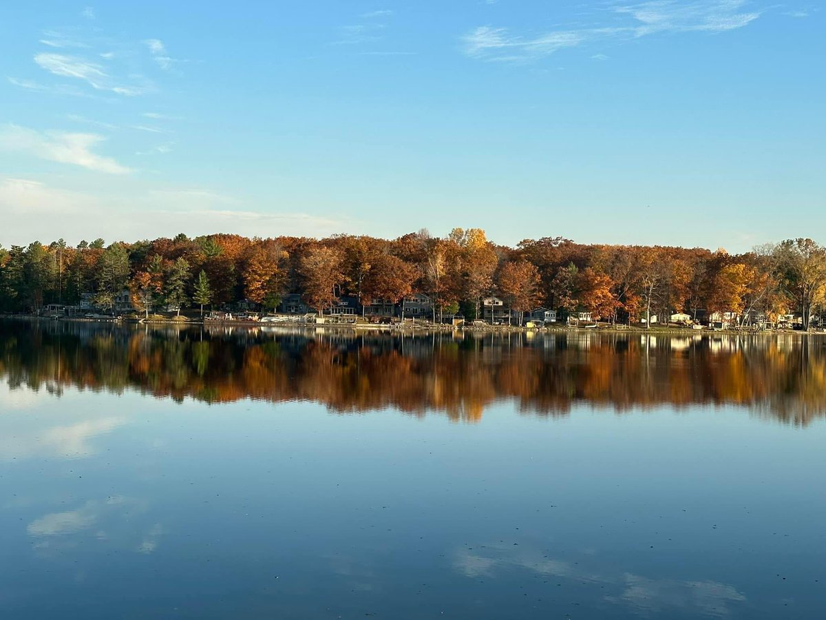 Wendy Zdeb tweet media