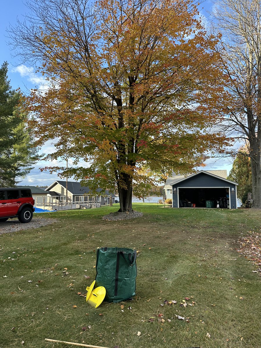 Wendy Zdeb tweet media