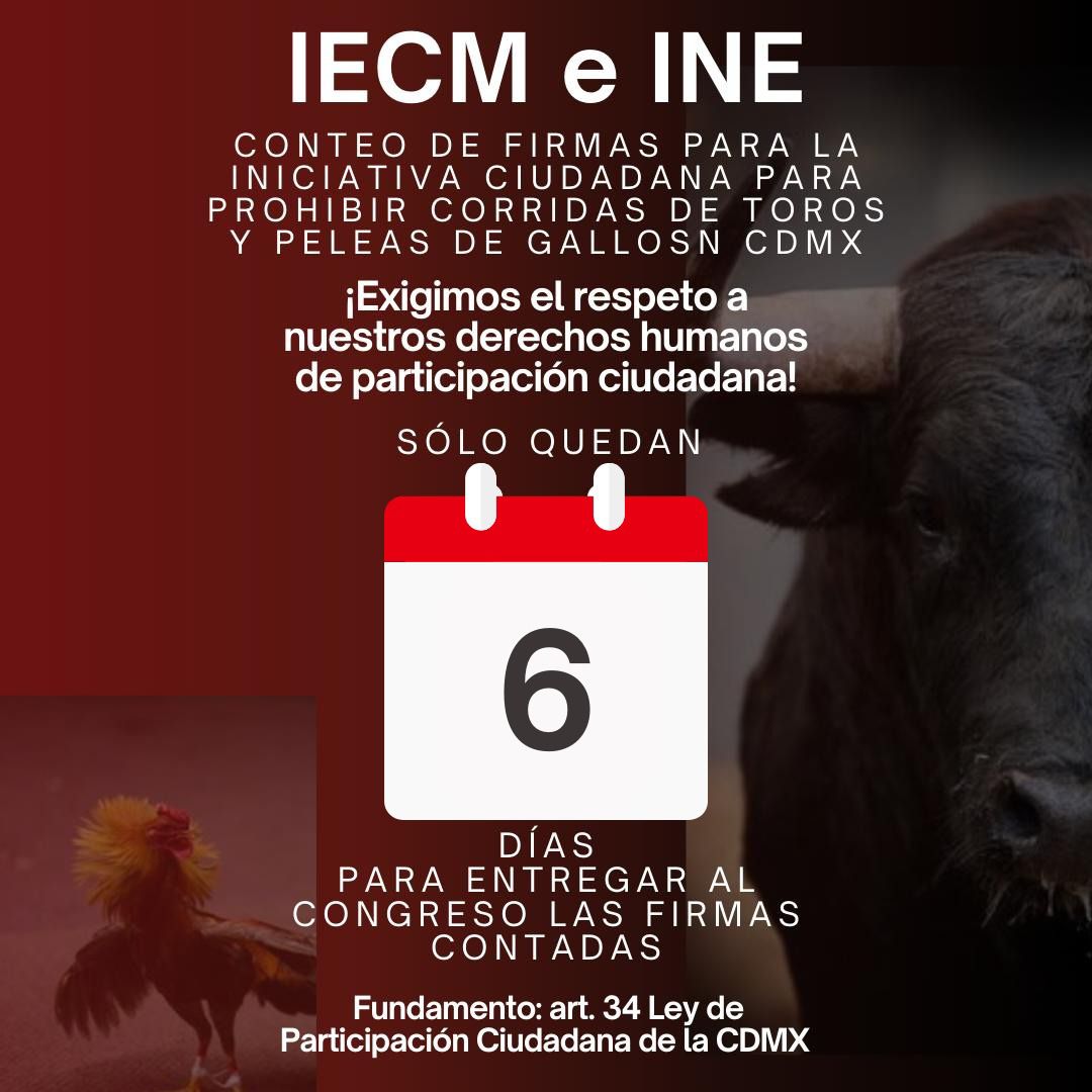 Exigimos que el <a href="/iecm/">IECM</a> y <a href="/INEMexico/">@INEMexico</a> terminen el conteo de firmas de la iniciativa ciudadana para prohibir corridas de toros el 31 de octubre. Por ley se debe votar en este periodo legislativo.
<a href="/PatyAvendanoD/">Patricia Avendaño Durán</a> 
<a href="/ErikaStradaRuiz/">Erika Estrada</a> 
<a href="/MaimelGuerra/">Melisa Guerra (ella)</a> 
<a href="/Cciliahc/">Cecilia Aida Hernández Cruz</a> 
<a href="/ramos_mega/">Ernesto Ramos Mega</a> 
<a href="/soniaperezmx/">Sonia Pérez Pérez</a>
