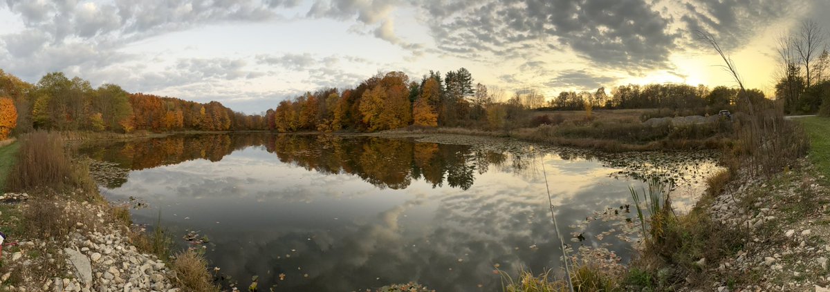My new friend John hooked me up with some cherry jello flavored chicken liver.
