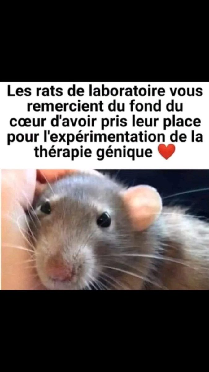 annick_dion's tweet photo. https://t.co/tdO9OQDqd2