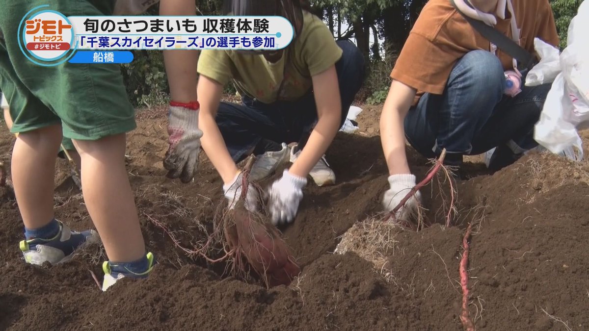 木村太郎氏　宮崎緑氏　名刺 木村太郎氏 宮崎緑氏 名刺 木村太郎氏宮崎緑氏名刺