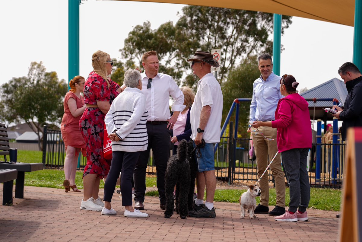 Peter Malinauskas tweet media