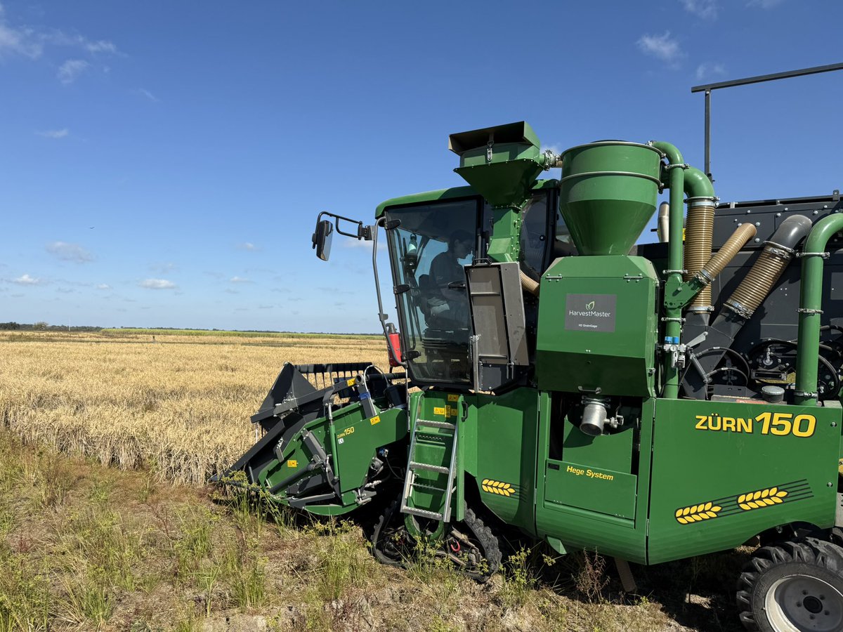 Gurjeet_AgSci's tweet photo. #ResearchUpdate2024πΊπΈ
#RiceRatoon harvested and Finally #RiceTeam announced #HarvestingFestival2024 completed with @Zurn_Harvesting combined at Beaumont Research Station @txresearch @AgriLife @TAMU
Highly Grateful to #RiceTeam for their dedication whole season
#RiceBreeding https://t.co/DyiyQcu7oM