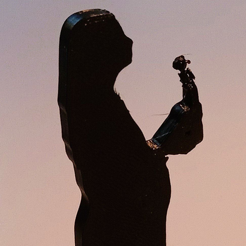 Now available Silhouette Structure to promote Paul Manchin's video "First"