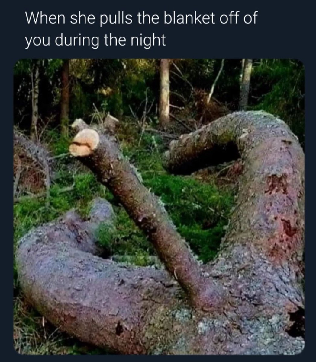 unique_funposts's tweet image. Nobody: