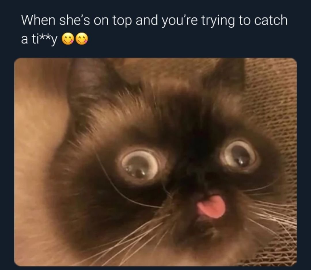 unique_funposts's tweet image. Nobody: