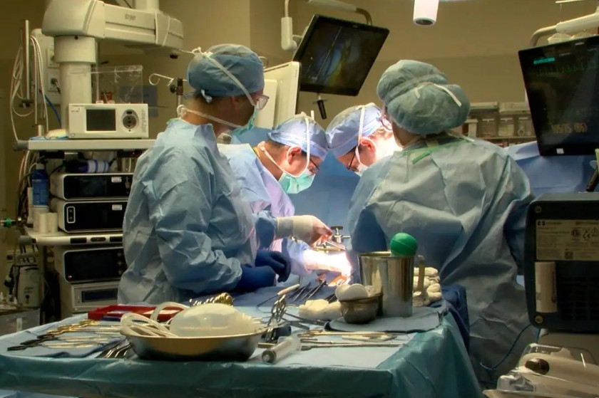 Mayo Clinic Transplantation Surgery (@mctransplntsurg) on Twitter photo Recently, surgical teams at <a href="/MayoClinic/">Mayo Clinic</a> completed their first paired #livertransplant. But you might be asking yourself, if a person only has one #liver, how can you be a #livingdonor to start this chain? @Timucin_taner <a href="/JulieHeimbach/">Julie Heimbach</a>
mayocl.in/3YABWIC Recently, surgical teams at <a href="/MayoClinic/">Mayo Clinic</a> completed their first paired #livertransplant. But you might be asking yourself, if a person only has one #liver, how can you be a #livingdonor to start this chain? @Timucin_taner <a href="/JulieHeimbach/">Julie Heimbach</a>
mayocl.in/3YABWIC