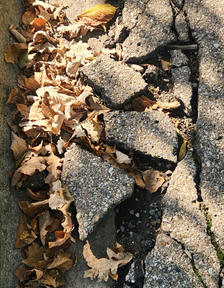 SolarRoadways's tweet image. Whenever we travel we take photos of #potholes and cracked surfaces - a problem SR will prevent. Our Science Director captured this one in Michigan on a recent trip to work with our manufacturing partner.

#SolarRoadways #IntelligentInfrastructure #GreenerandSafer