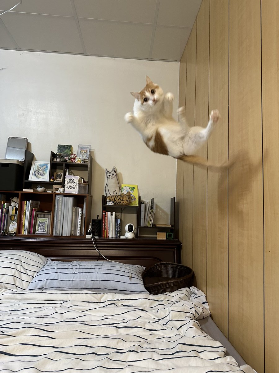 xiaoxiong_kuma's tweet image. 朝から元気だね