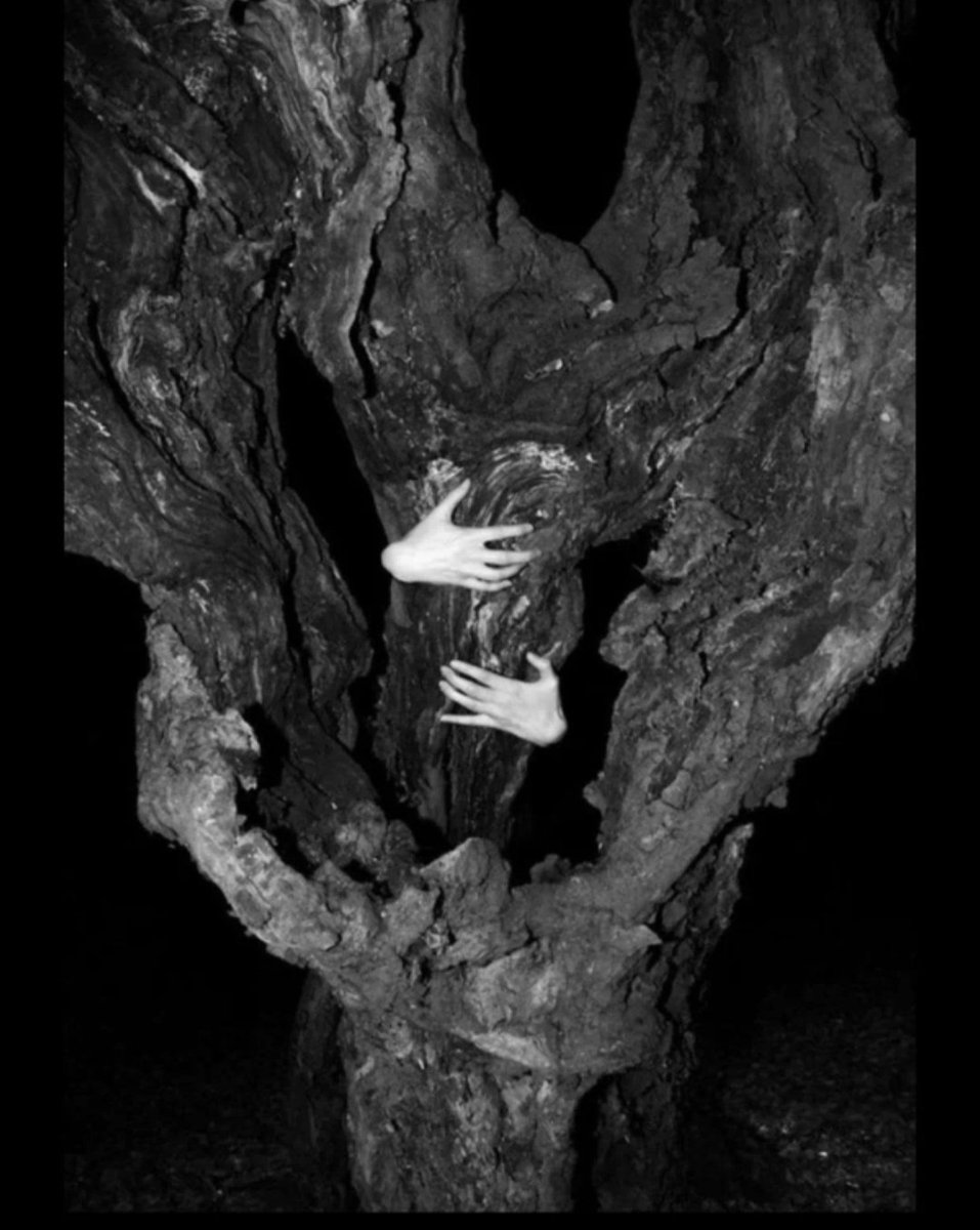 .
أعيش الحزن مع كل من يفتقد غاليه
"لو أشوف غصنٍ جف ساقيه عانقته"