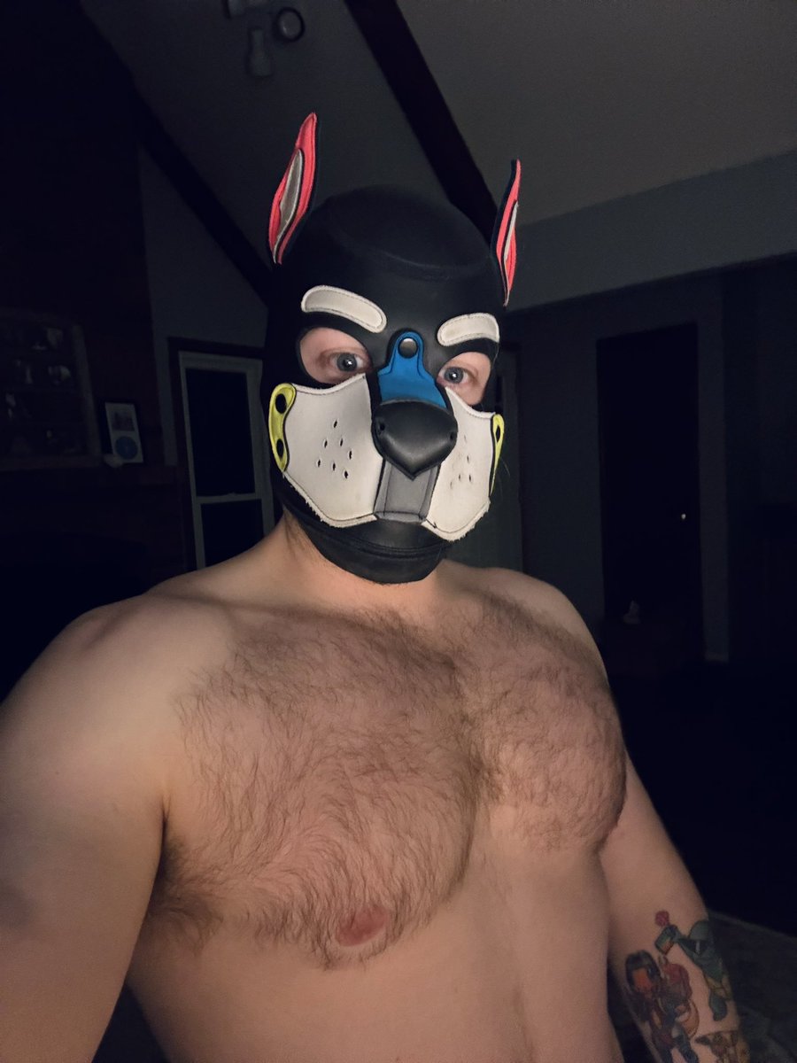 🐾🐾😈