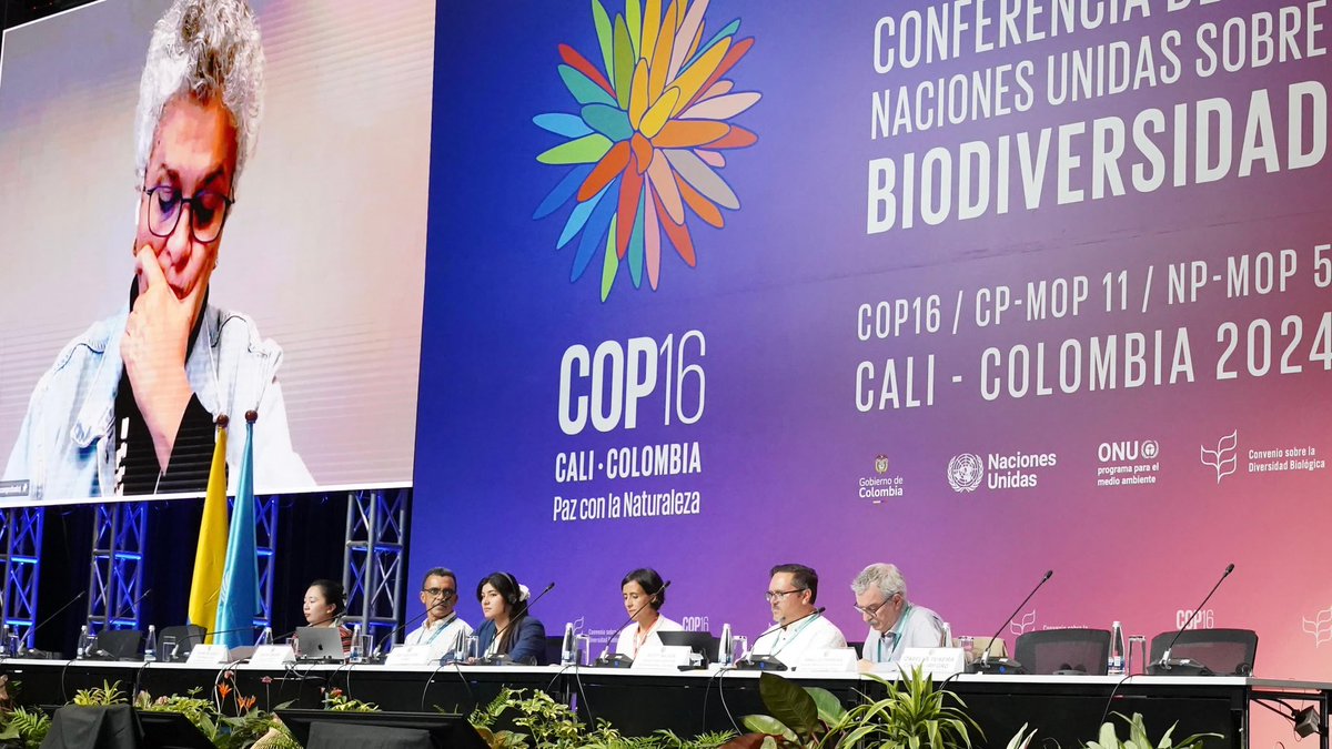 🔵 La presidenta de la #COP16Colombia, @SusanaMuhamad acompañó el evento “Escuchando a la ciencia”. Expertos analizaron cómo vincular las agendas de cambio climático y biodiversidad para enfrentar la triple crisis planetaria desde una perspectiva científica. 🌎🔬