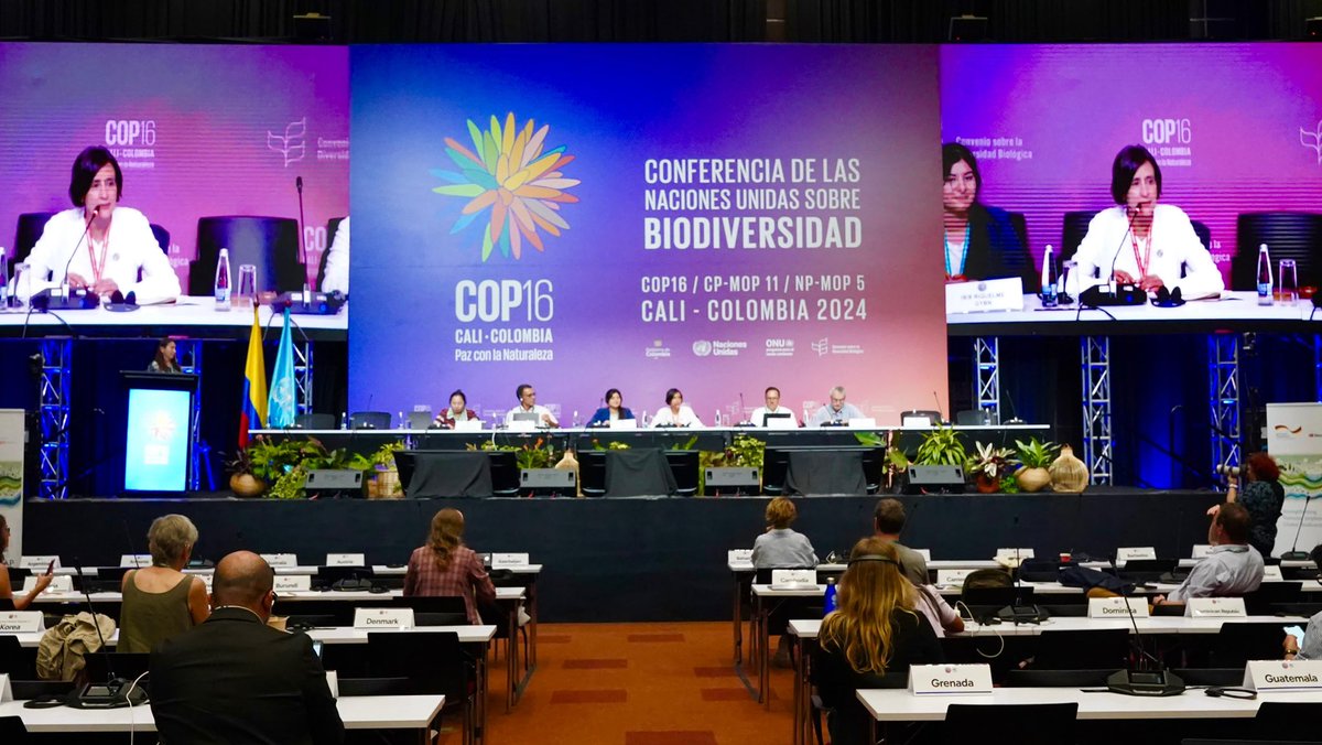 COP16 COLOMBIA 🇨🇴 tweet media
