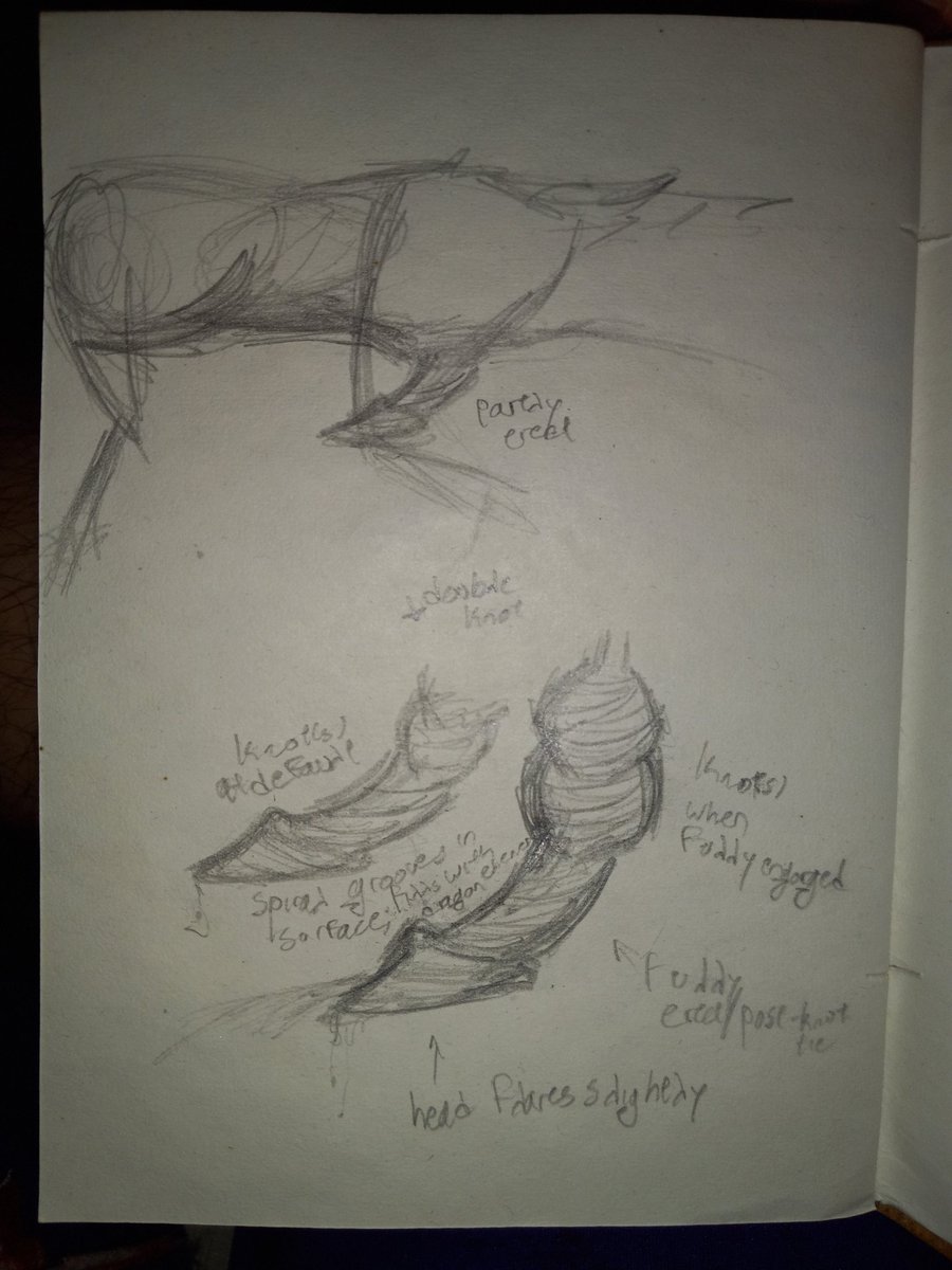 ;; coping with my Saltiness by drawing more monster dick anatomy refs,  ft vugel l
pardon the shitty drawings and handwriting it's hard to draw/write well in a dark corner illuminated mostly by red light and nothing else