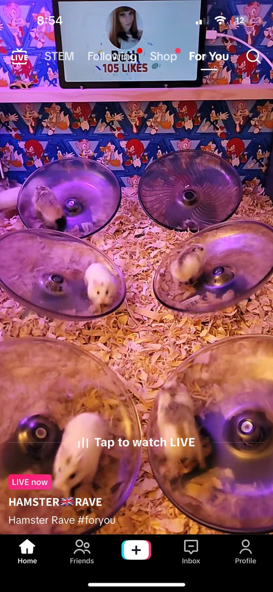 Ankit Wadhwa tweet media