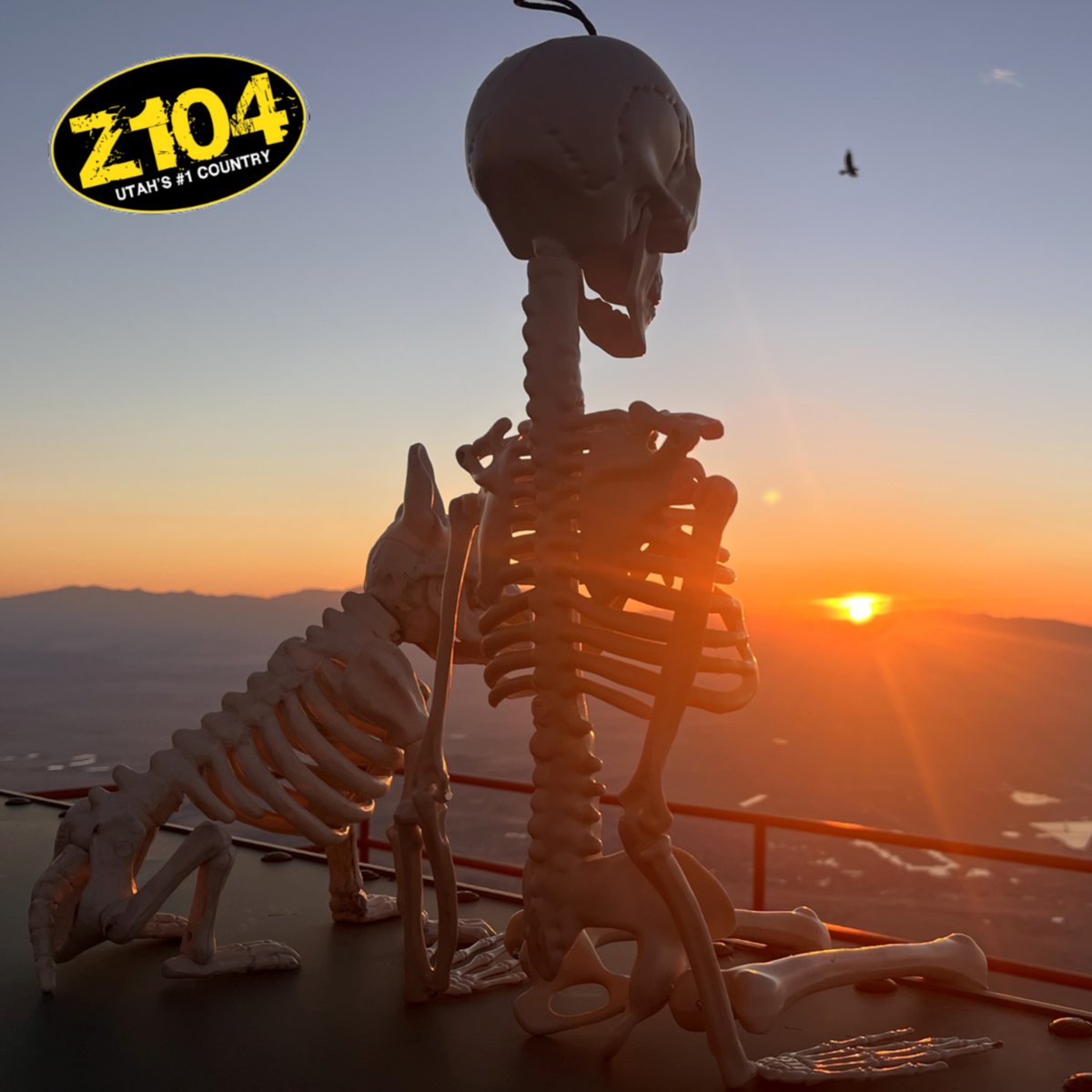 Z104Country's tweet photo. Only 4 more days until Halloween, Frederick and Bones are taking every moment in while they still can! Just check out that sunset. #skeletoninthestation #z104country https://t.co/oxxkWby9Kl