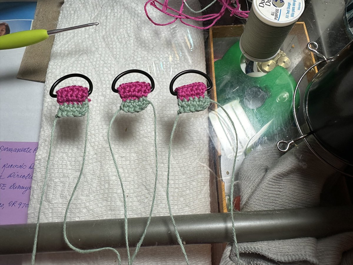 lemonshell tweet media