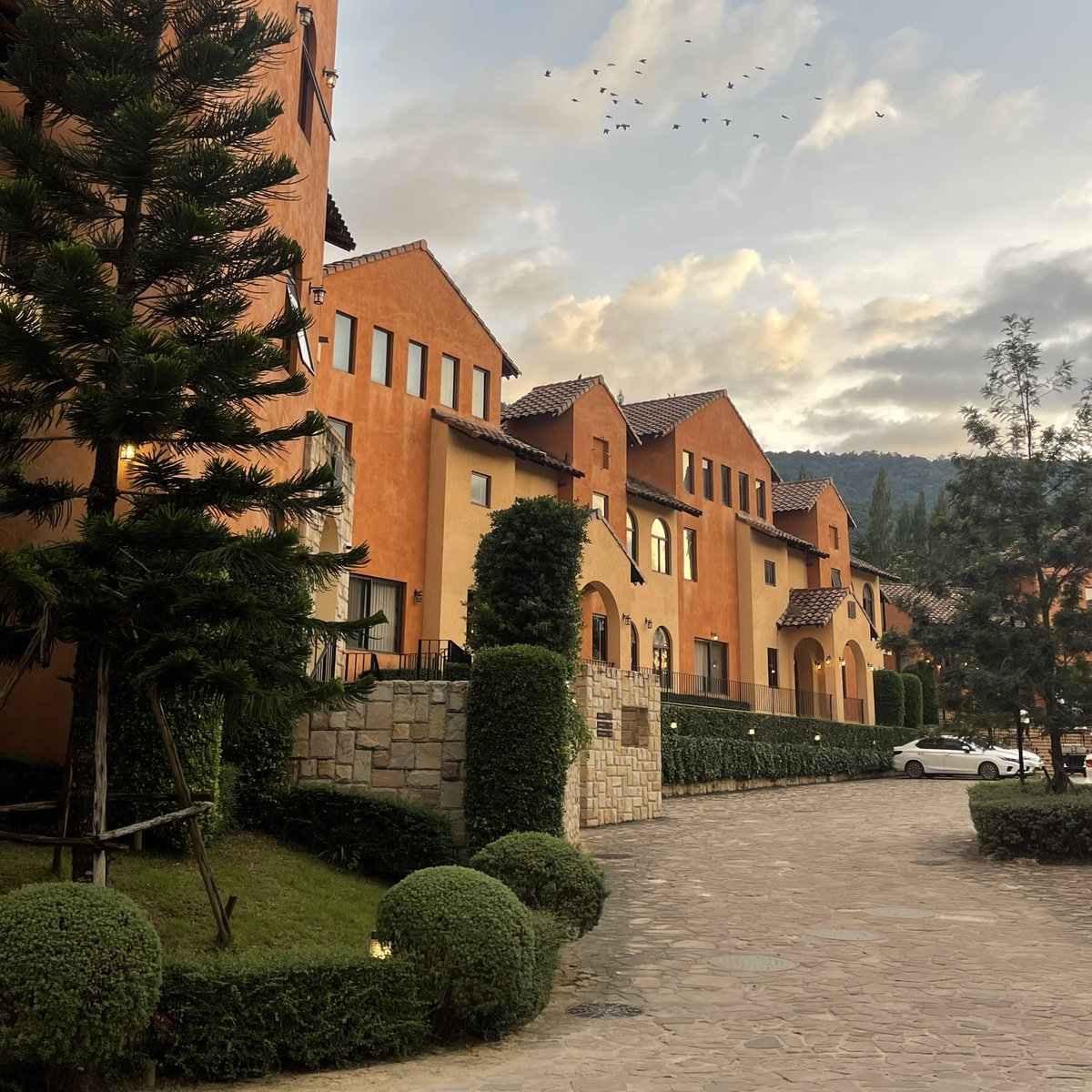 sfkkfs_'s tweet photo. ช่วงสิ้นปี แนะนำที่พักเขาใหญ่ Toscana Valley ฟิลเหมือนอยู่ต่างป. มีห้องพักหลายราคา ธรรมชาติสมบูรณ์ มองไปตรงไหนก็สวย ช่วงปลายฝนมีหมอก แสงตอนพระอาทิตย์ตกสวยมากก 🌳🌄 https://t.co/h6DHH42cmD