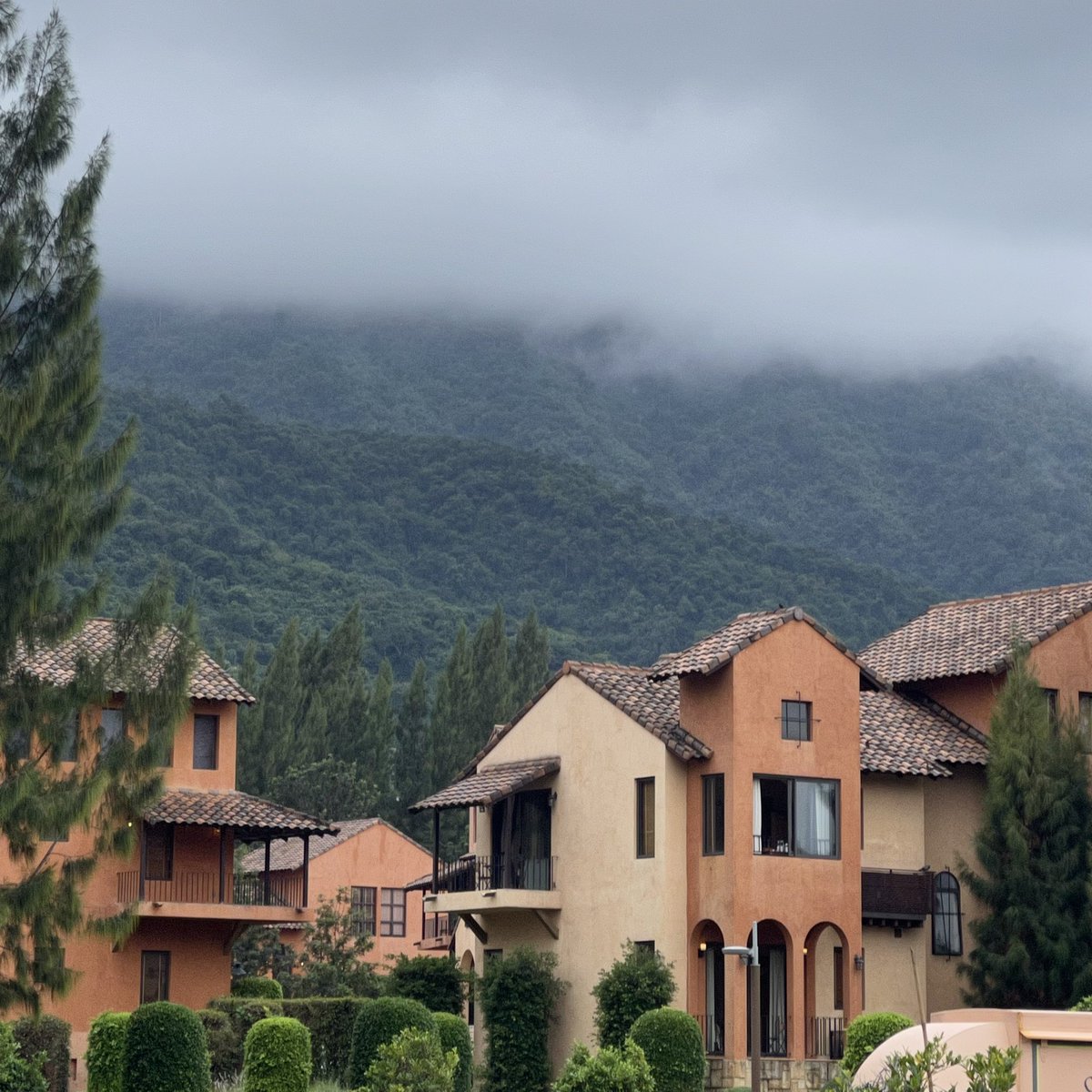 sfkkfs_'s tweet photo. ช่วงสิ้นปี แนะนำที่พักเขาใหญ่ Toscana Valley ฟิลเหมือนอยู่ต่างป. มีห้องพักหลายราคา ธรรมชาติสมบูรณ์ มองไปตรงไหนก็สวย ช่วงปลายฝนมีหมอก แสงตอนพระอาทิตย์ตกสวยมากก 🌳🌄 https://t.co/h6DHH42cmD