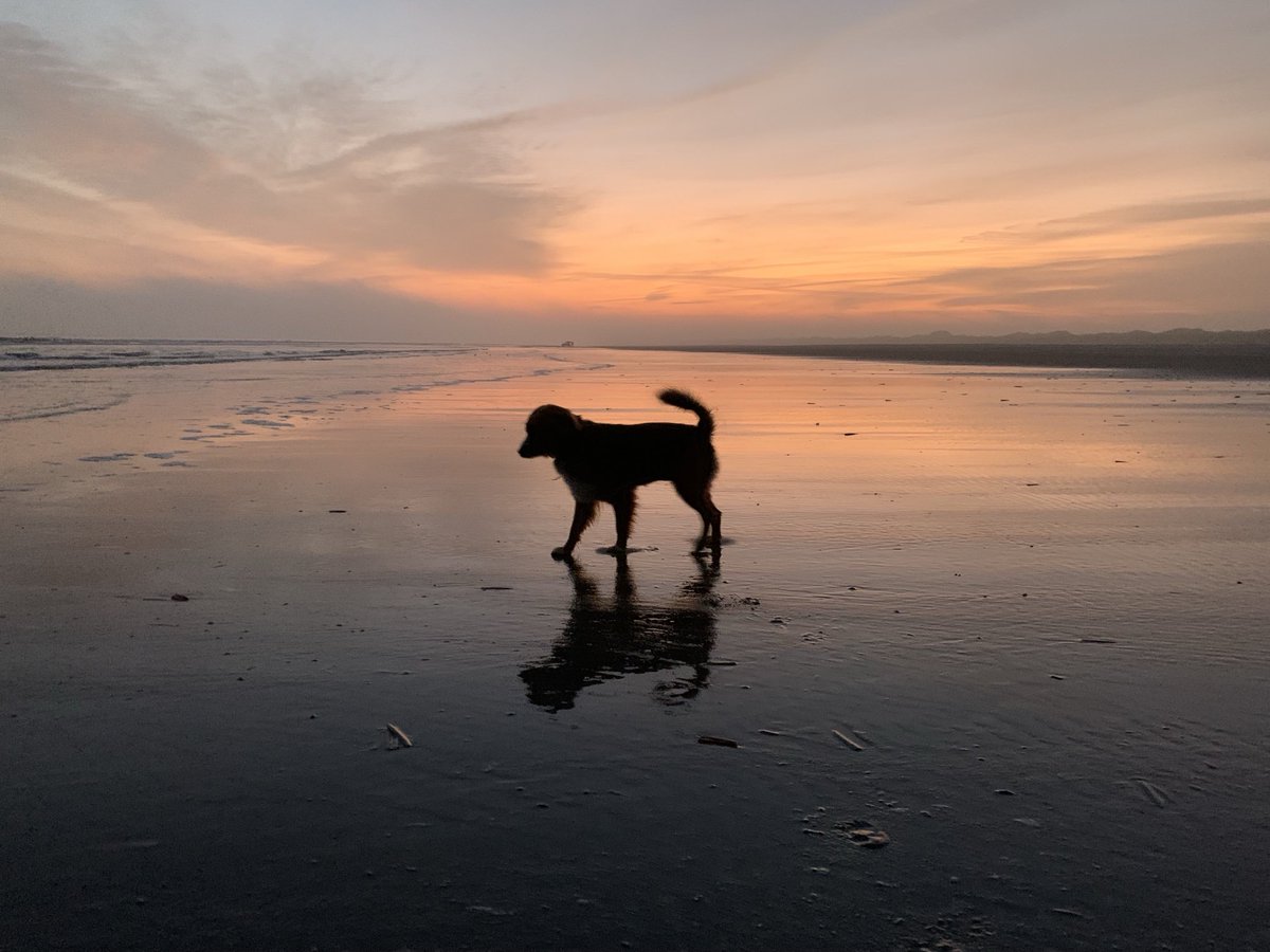 Goedemorgen! #Ameland