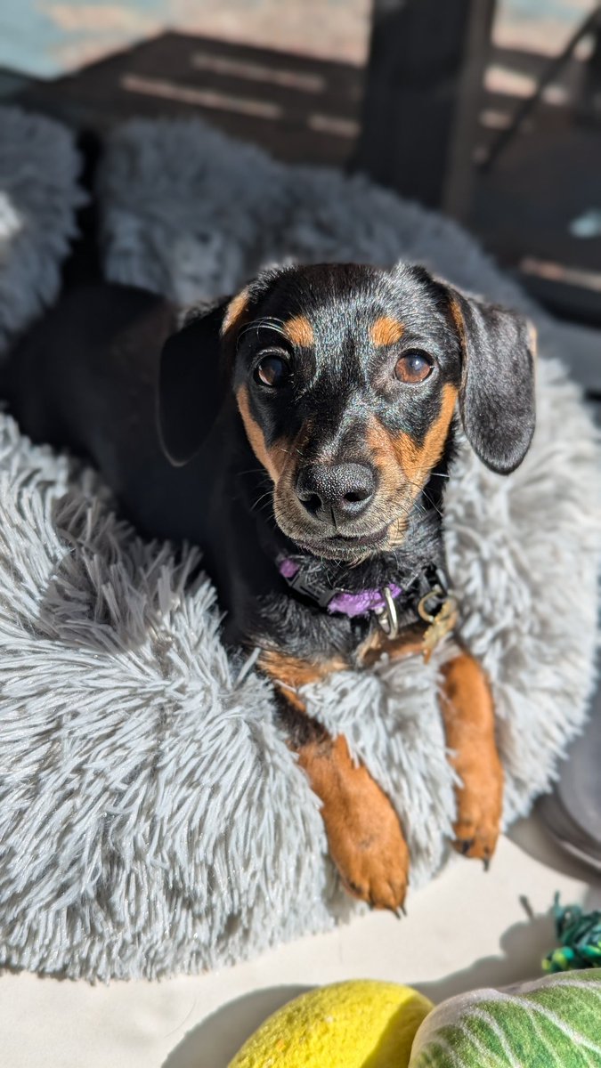 Look how cute this little munchkin is