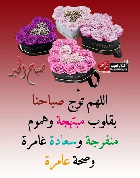 اتمنى الجنه ☺️🌹 (@lmdllh581234571) on Twitter photo 