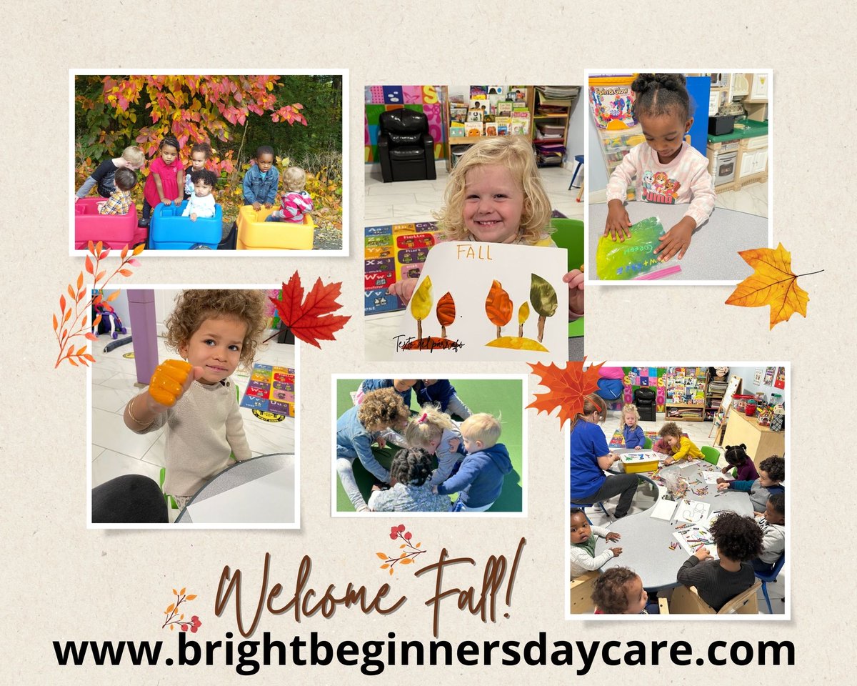 Bright Beginners tweet media