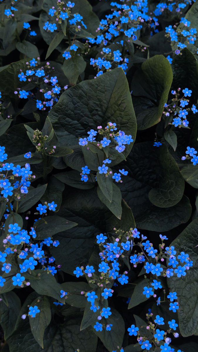 blue dream (@bluedreamvibes) on Twitter photo 