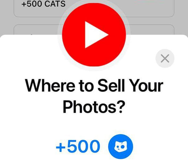 forcryptaTC's tweet photo. ⚡️Cats Today's Code
📅25/10/2024

🎬Title: Earn Money Selling Photos
 🌀Code: COLLATERAL

🎬Title: Where to Sell Your Photos
 🌀Code: CONSENSUS

🎬Title: Protect Your Investment
 🌀Code: DUMP

https://t.co/fIt2xq0ByQ
Meow, lets see who is OG 😼

Join our channel: https://t.co/iQTbh7NzQJ