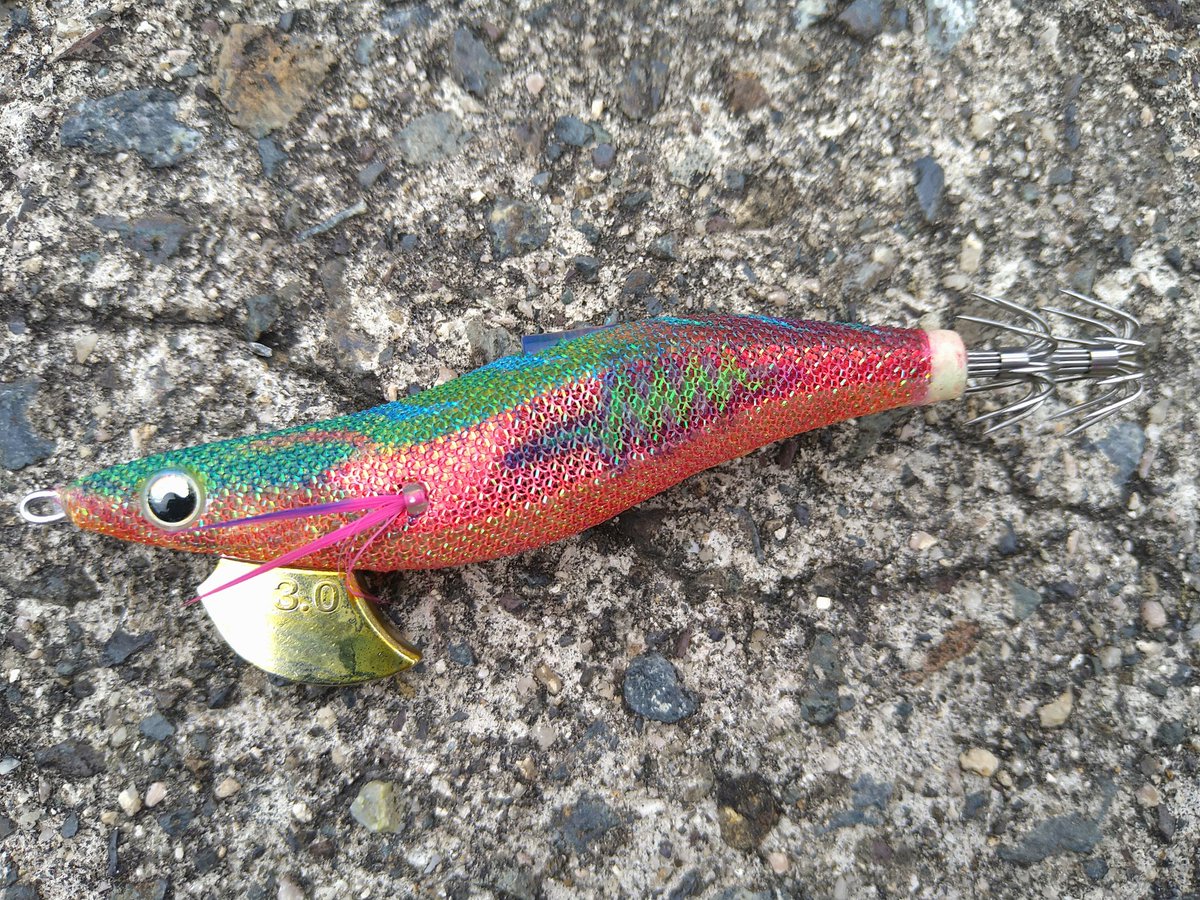 ACE92990604's tweet photo. エギ王サーチのオリカラが釣れたので名前付けます。
バジルドレッド https://t.co/ZgdBqIVtkN