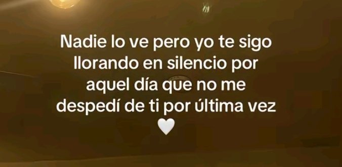 Selene_con_e's tweet photo. 🤍 https://t.co/6HI1hvumnj
