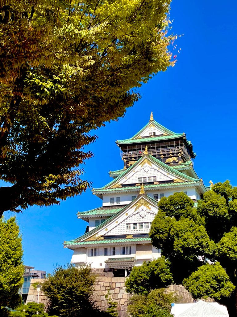 TTeacher🇳🇵🇸🇬🇬🇧🌱 tweet media