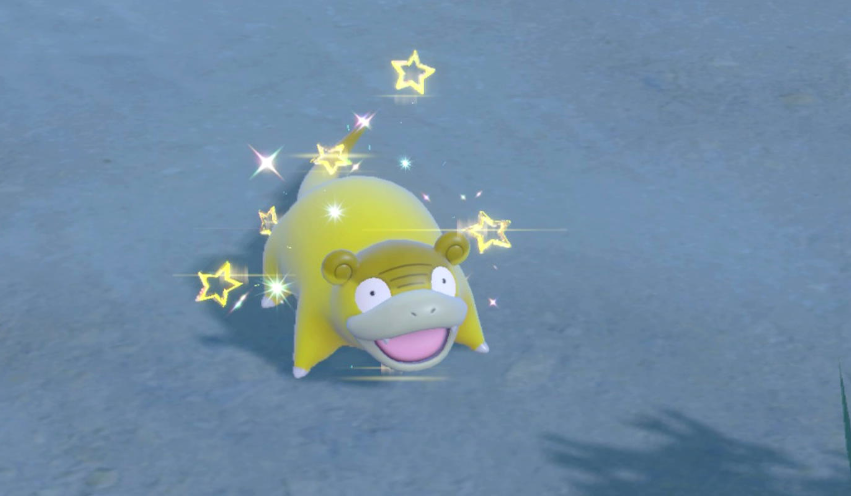 I made a return to The Indigo Disk and found this wonderful guy in under 30 mins, yippee!