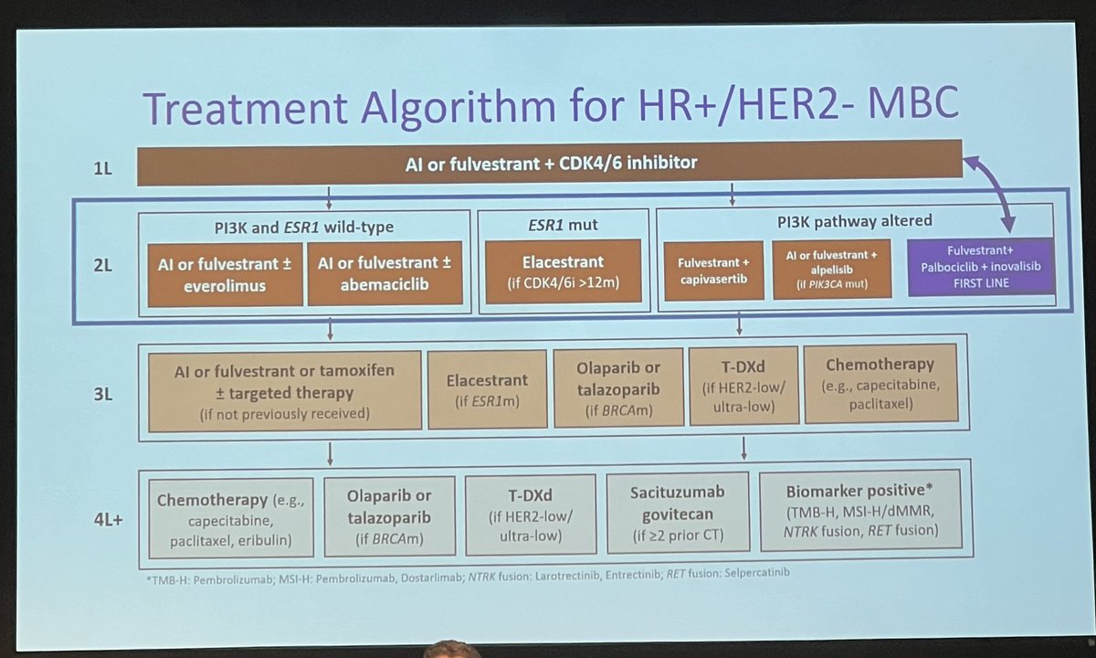 diana_jaber's tweet photo. Some highlights from two great sessions today at  #LSBC24 highlighting inmunotherapy and management options in HR-positive #BreastCancer @RitaNandaMD @DrWGradishar   @LurieCancer https://t.co/JZbQcV1X8A