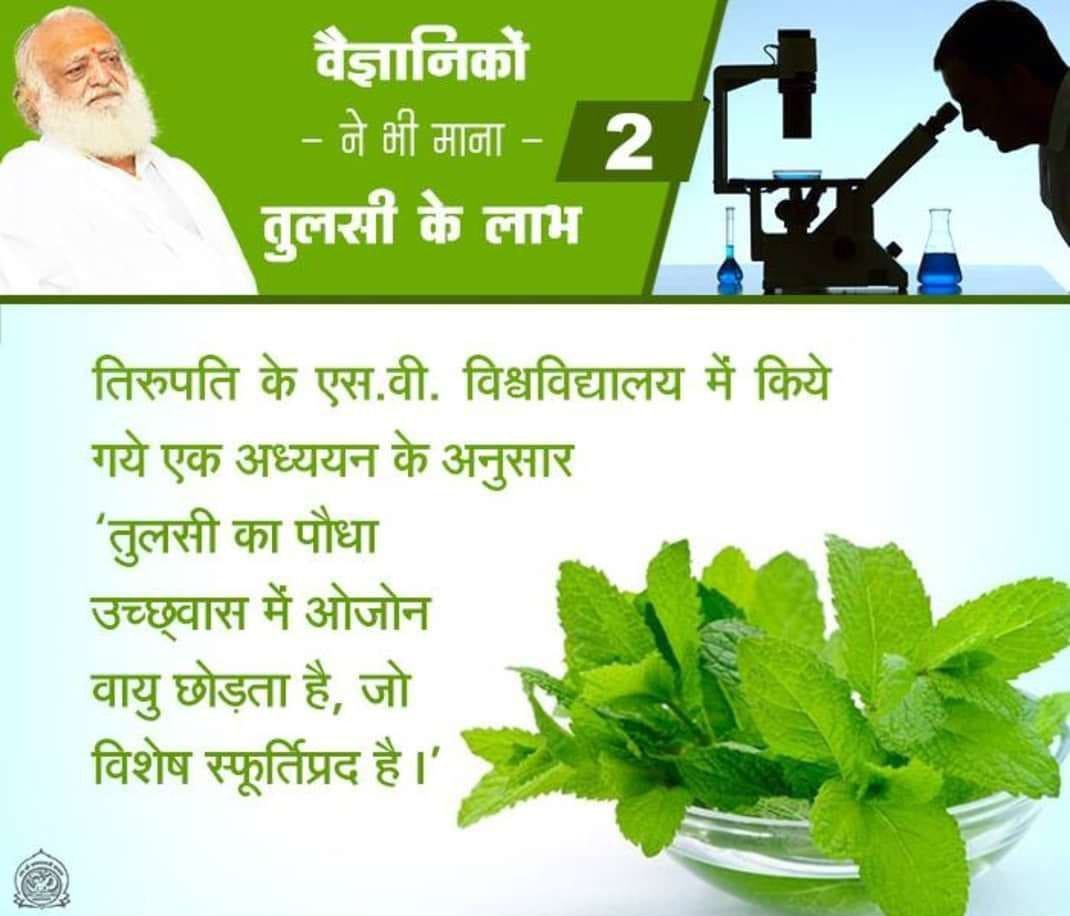 Sant Shri Asharamji Bapu always emphasise to #SaveThePlanet which is very imprtant for all living beings, 
All should need Eco-friendly Life which is possible by growing more and more trees,specially peeple, tulsi r too good for environment