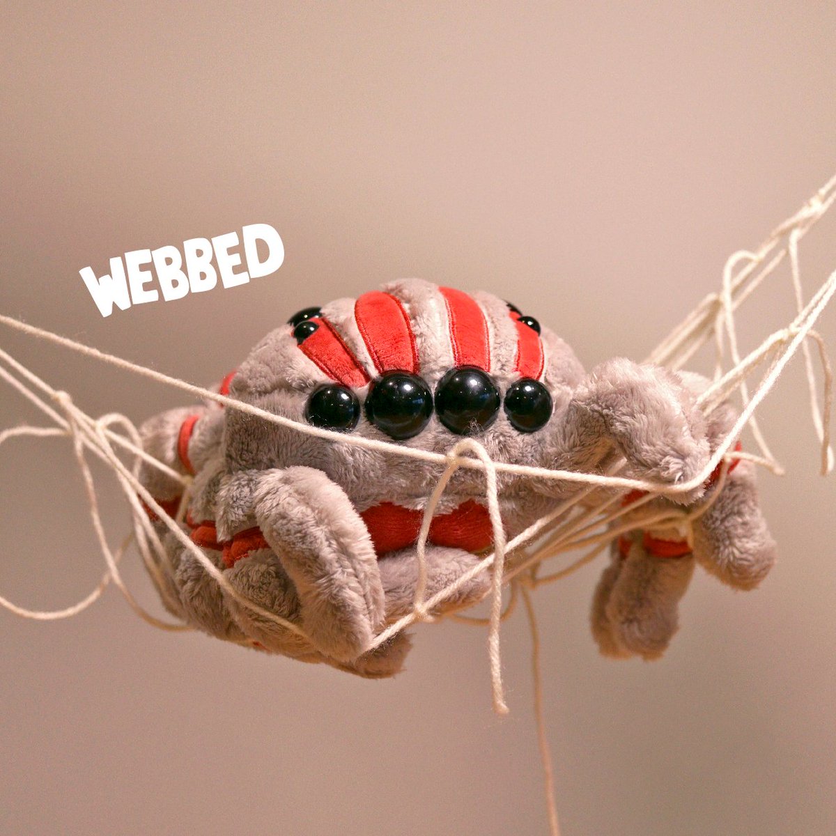 Paper House tweet media