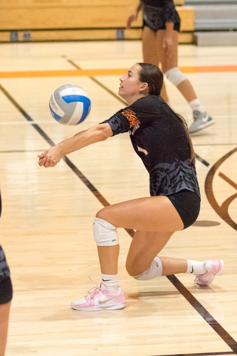 Eric D Danielson tweet media