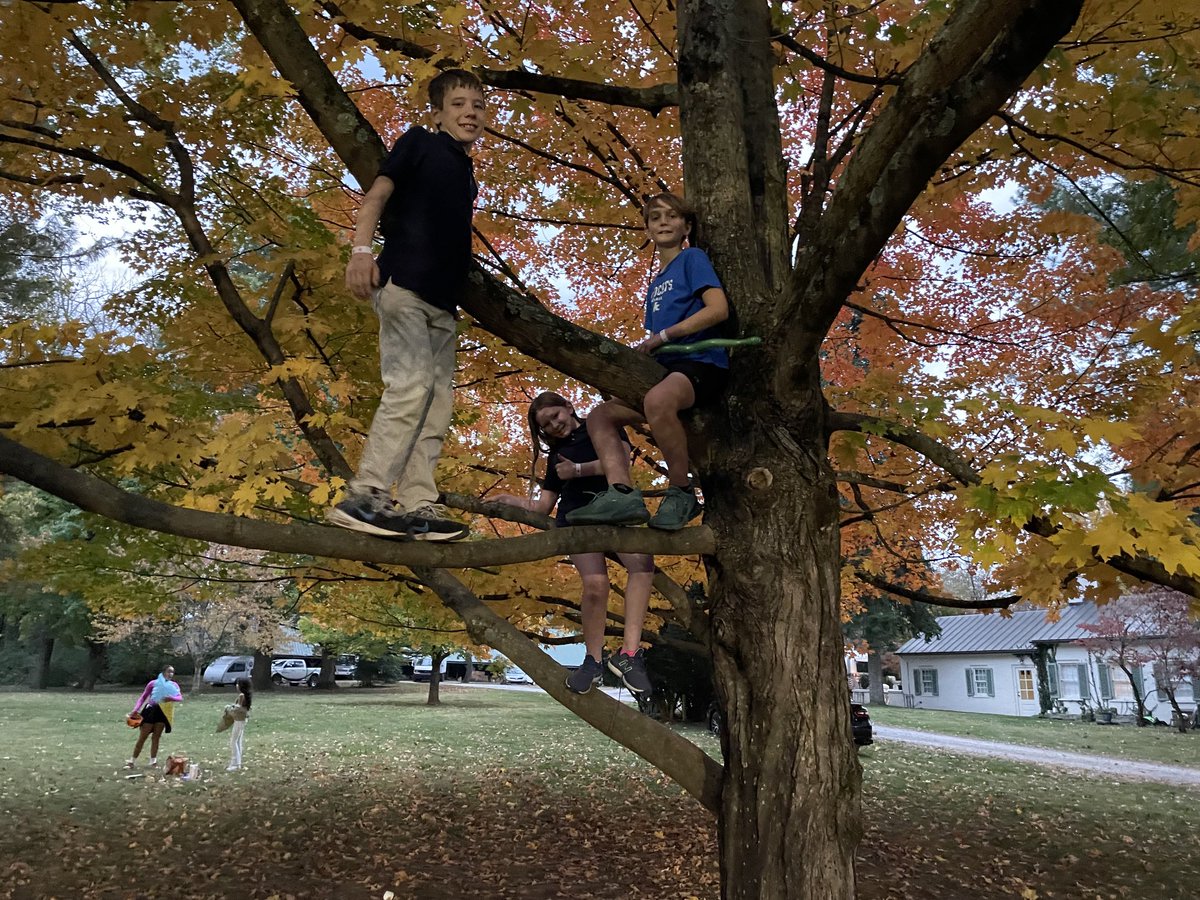 UMacCarthy's tweet photo. A perfect night for Fall Festival at Scarlet Gate- full of fun, friends, and of course ice cream. https://t.co/DouIUjQRXr