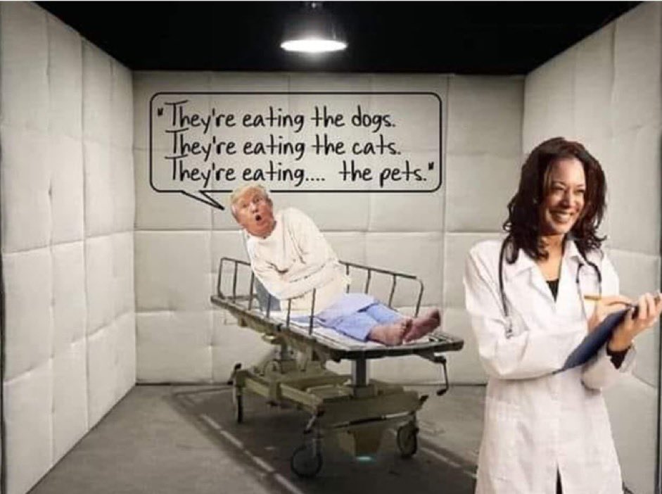 ThatCatZoe's tweet photo. @DJJudd @MeidasTouch Trump is so incredibly WEIRD… https://t.co/ghUJUvr92e