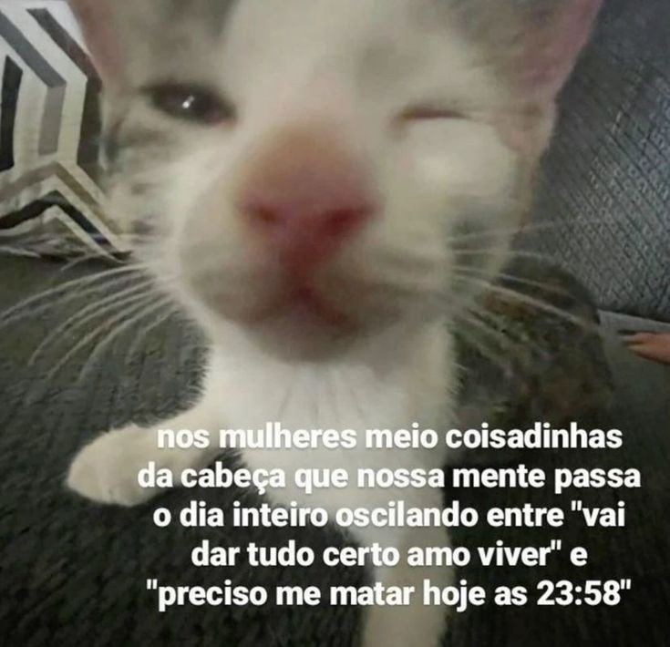 odeiootaco's tweet photo. https://t.co/M19aJDLhe6
