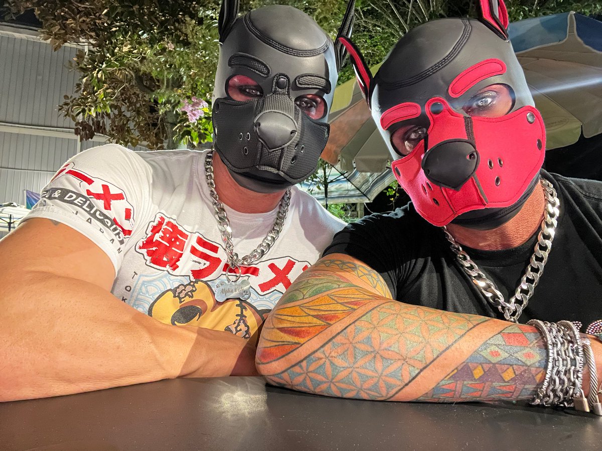 Pup Lux (@BeefAndPeaches) / Posts / X