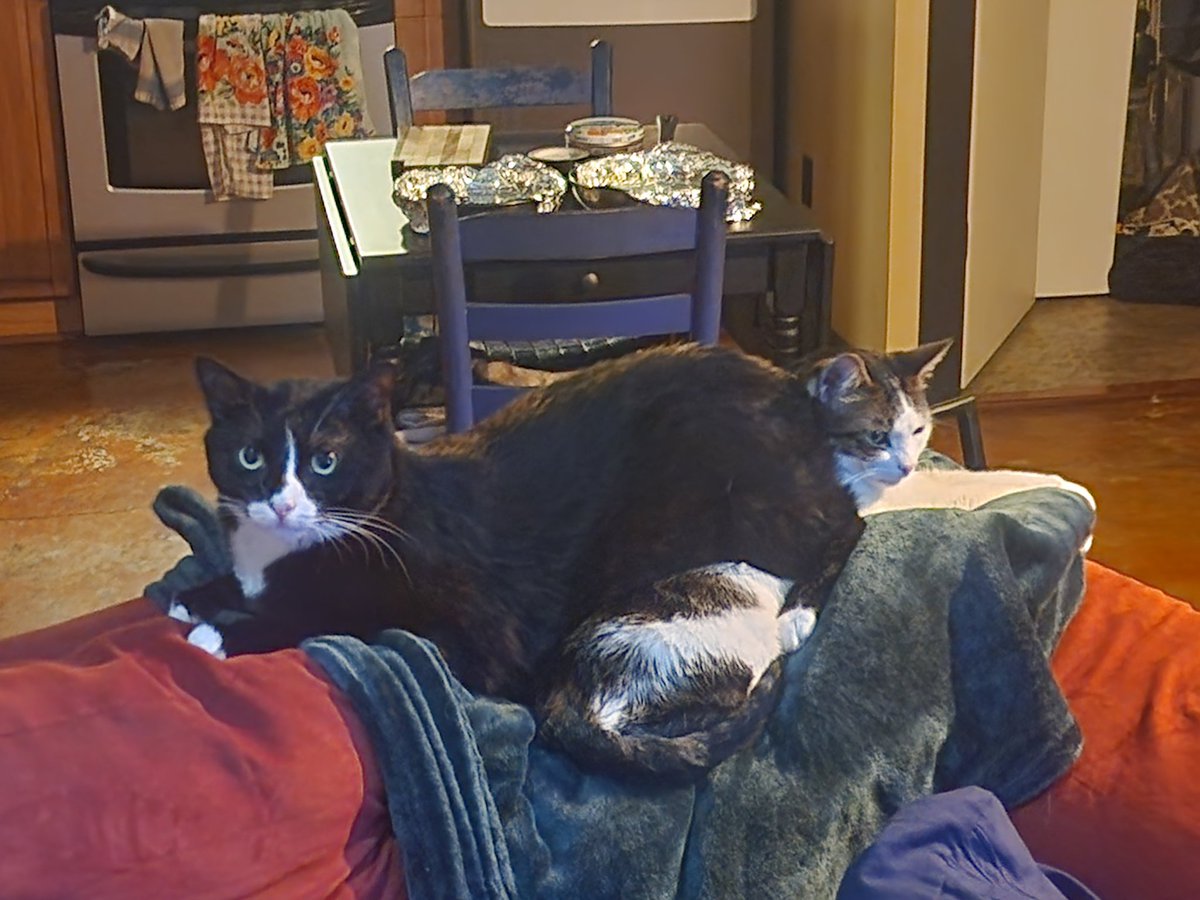 SplaydGang(Sean)Core