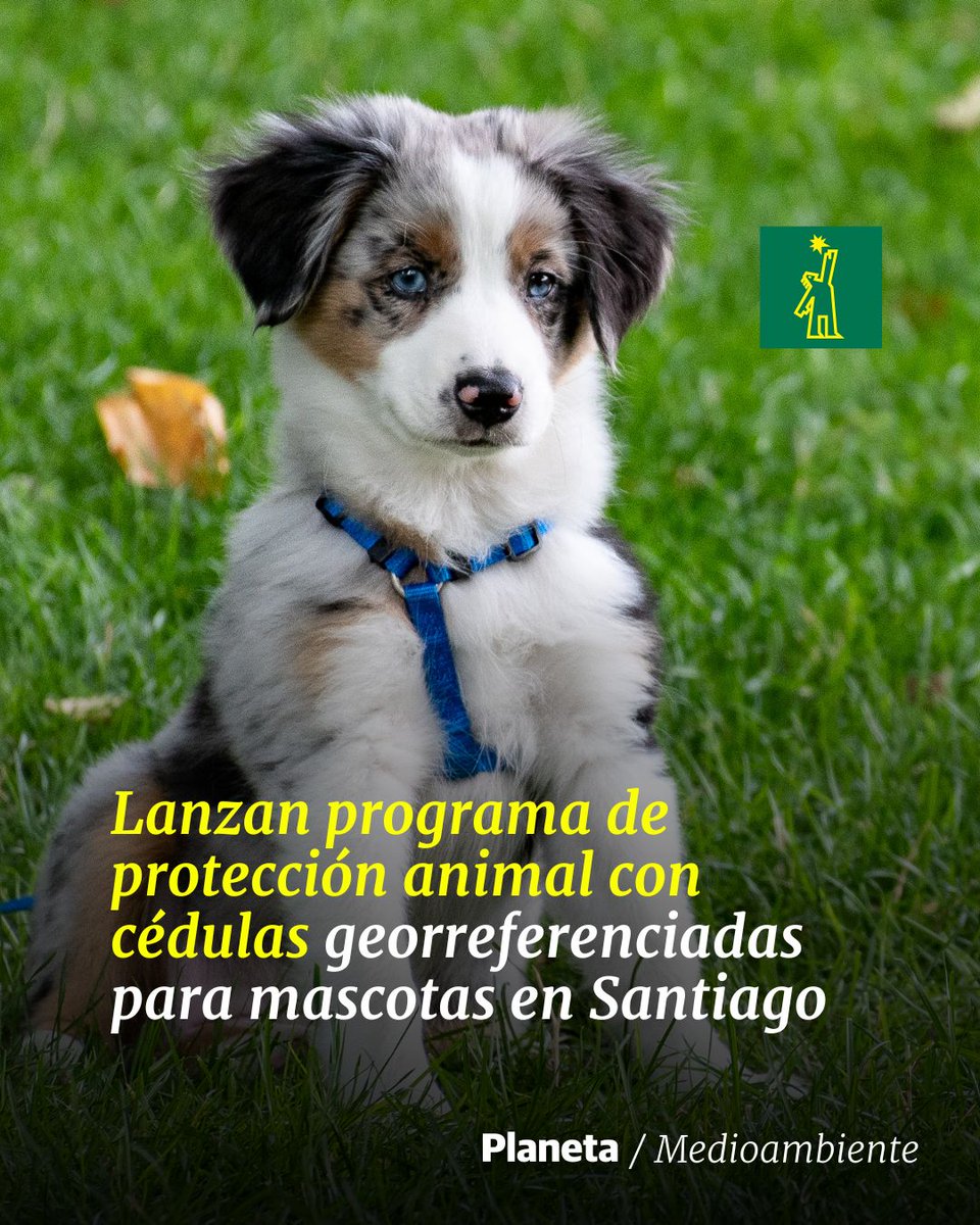DiarioLibre's tweet photo. 🌱 | #MedioAmbiente | Las autoridades firmaron un acuerdo para la protección de animales
🔗https://t.co/fEGHURDUT7
#DiarioLibre #Noticias #Santiago #CDES #FEDOMU https://t.co/JRfj0eMUrl