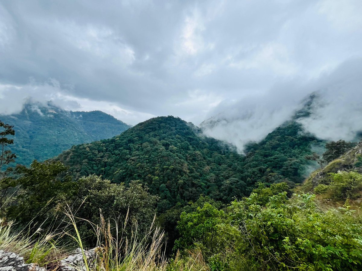 12 gaun ko jungle..😆