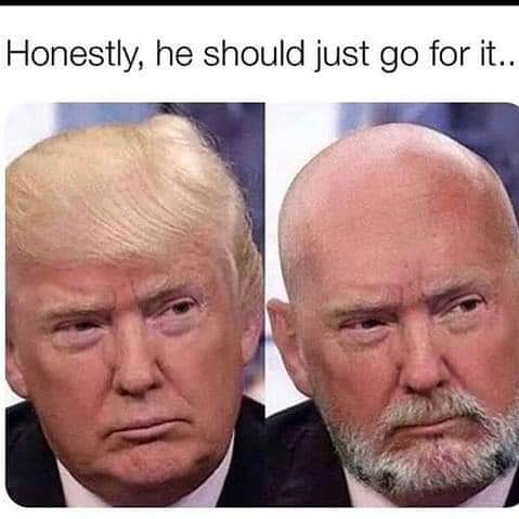 The Bilbo Brainery tweet media